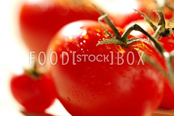 Tomate 04