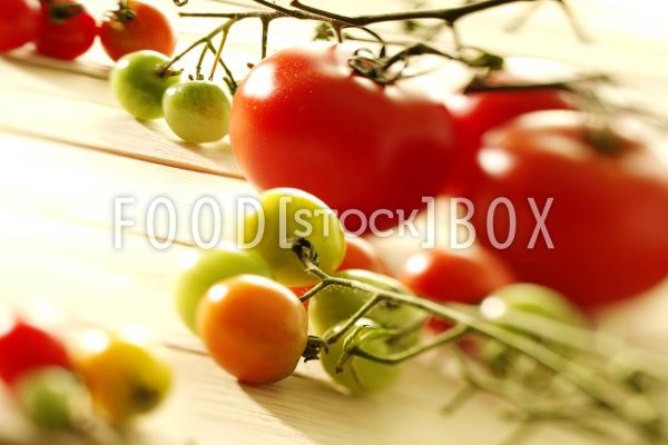 Tomate 09