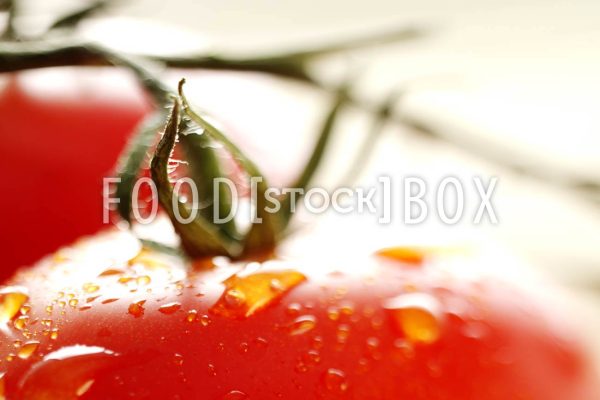 Tomate 11