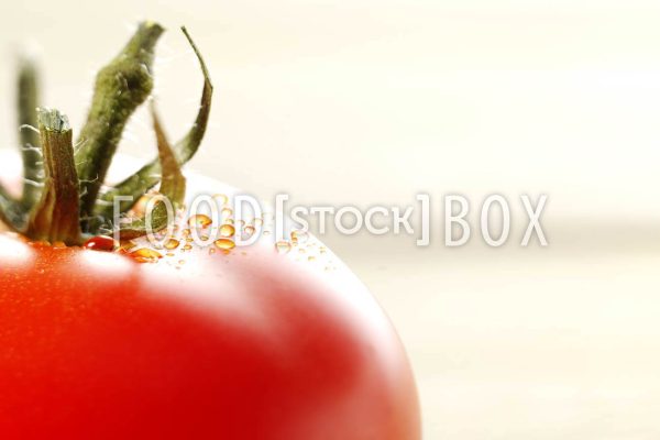 Tomate 13