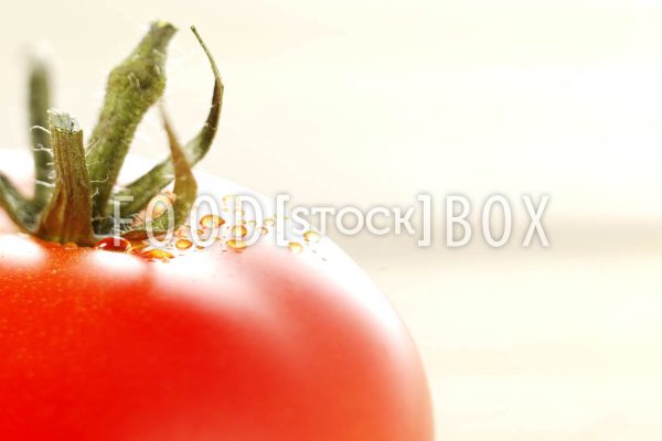 Tomate 14