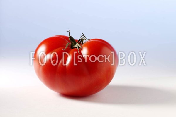Tomate 16