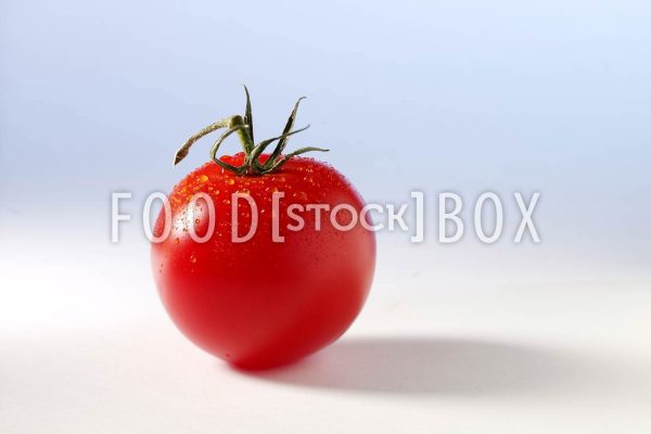 Tomate 18