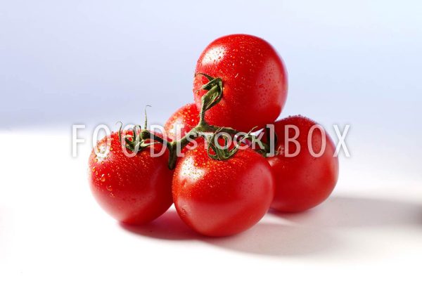 Tomate 20