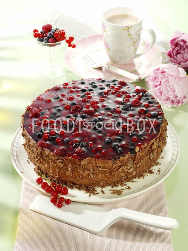 Waldbeer-Schokomousse-Torte 1