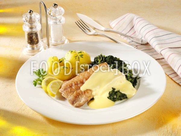 Welsfilet