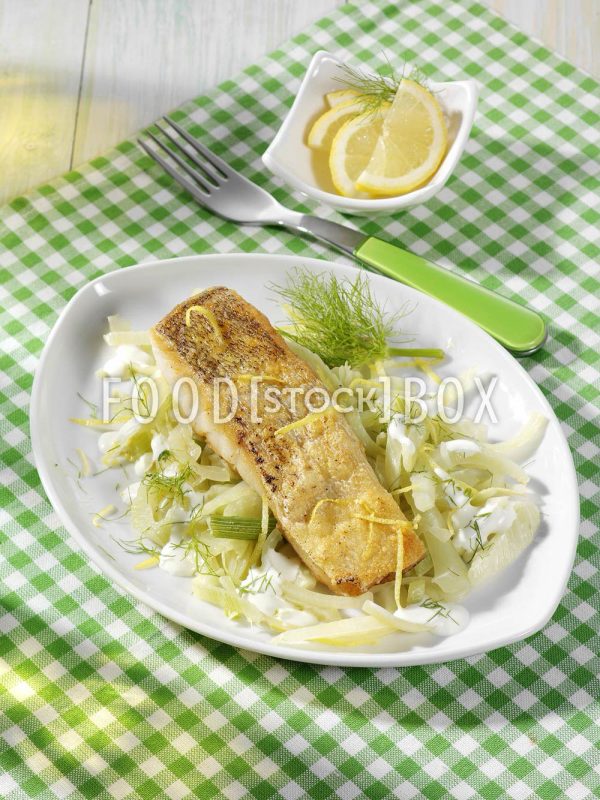 Zander auf Fenchel/Diabetiker