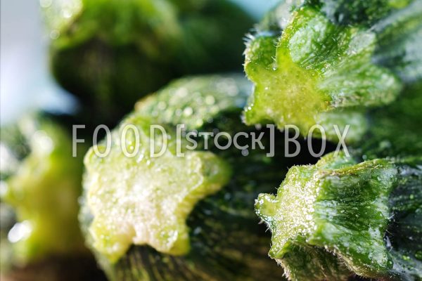 zucchini 02